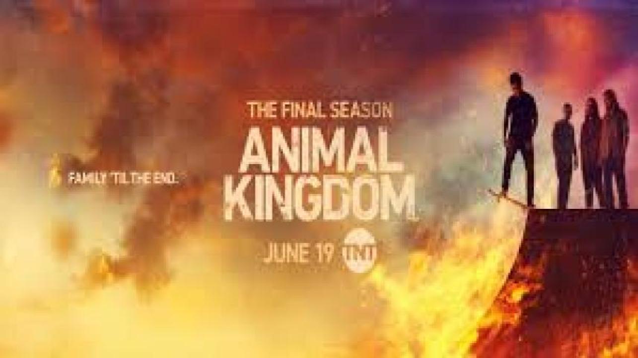 مسلسل Animal Kingdom مترجم - الموسم 1