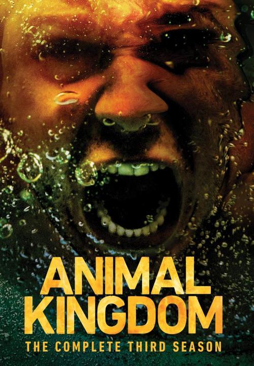 مسلسل Animal Kingdom الموسم الثالث الحلقة 11