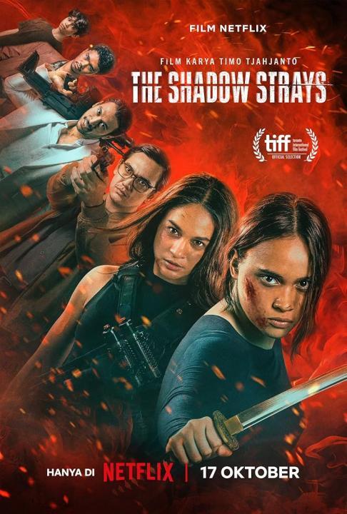 فيلم The Shadow Strays 2024 مترجم اون لاين