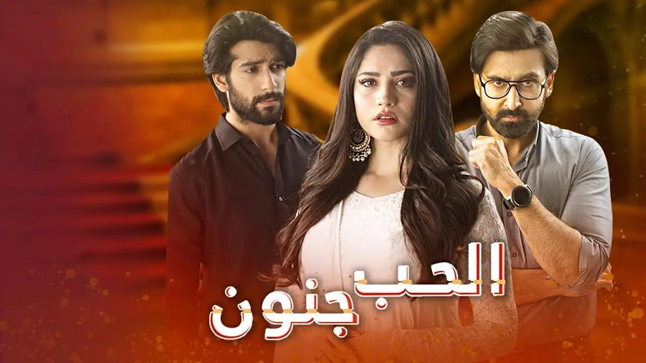 مسلسل الحب جنون الحلقة 29 التاسعة والعشرون مدبلج